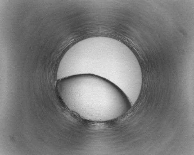 X0000116550428200912101007