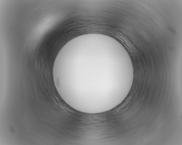 X0000116550429200912101007