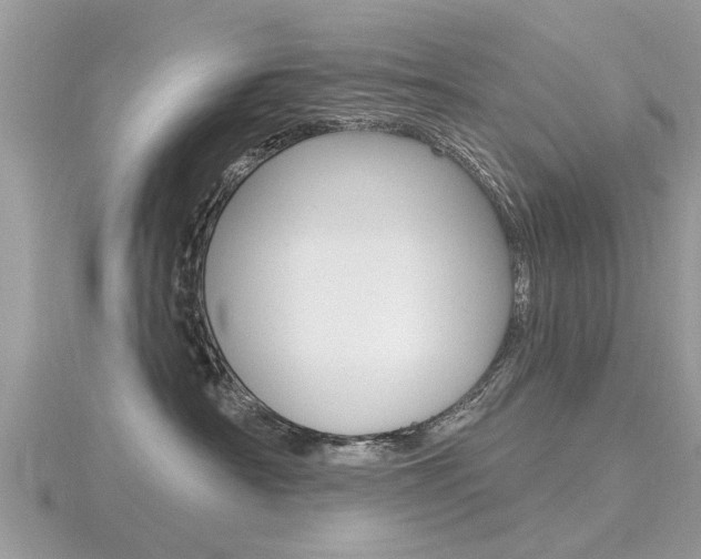 X0000116550430200912101007