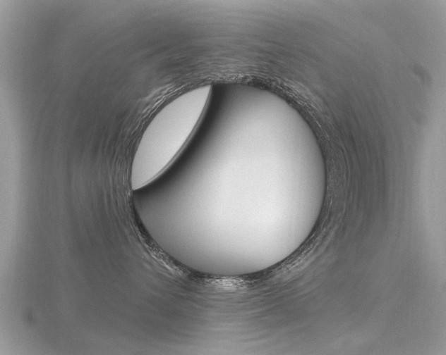 X0000116550432200912101007