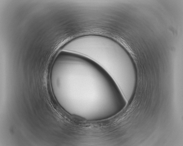 X0000116550434200912101006