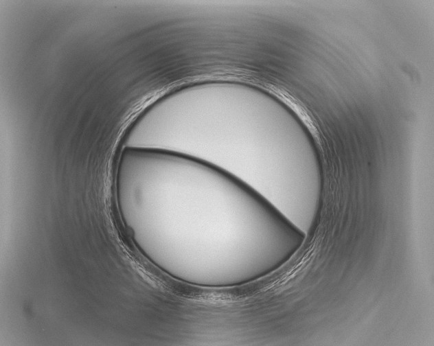 X0000116550437200912101006