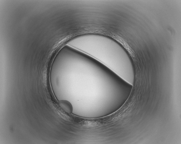 X0000116550442200912101006
