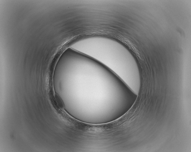 X0000116550444200912101006