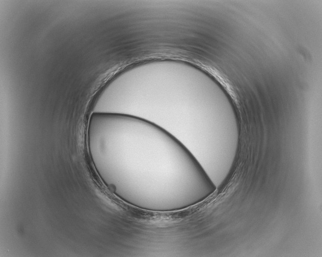 X0000116550445200912101006