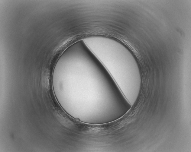 X0000116550446200912101006