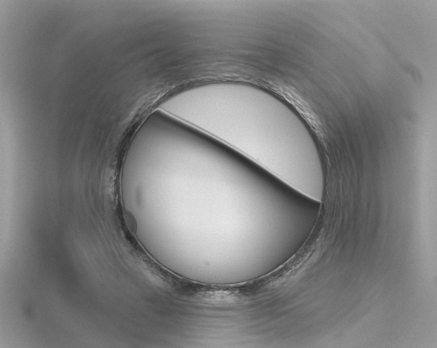 X0000116550449200912101006