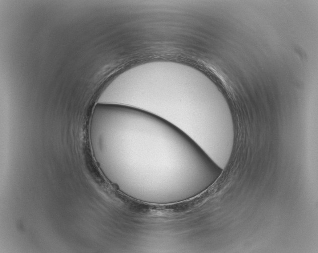 X0000116550455200912101006