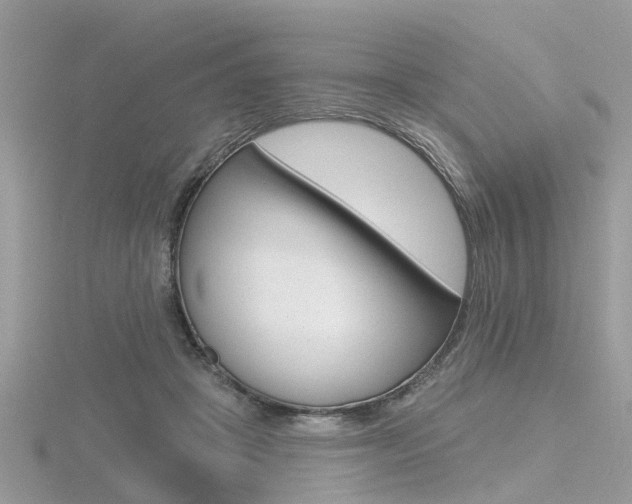 X0000116550457200912101006