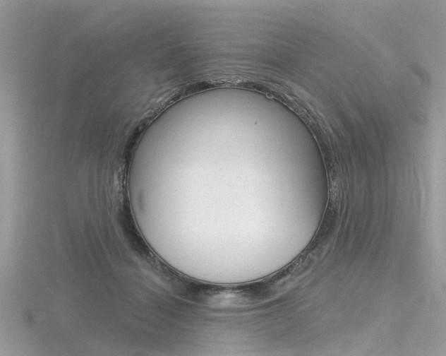 X0000116550460200912101006