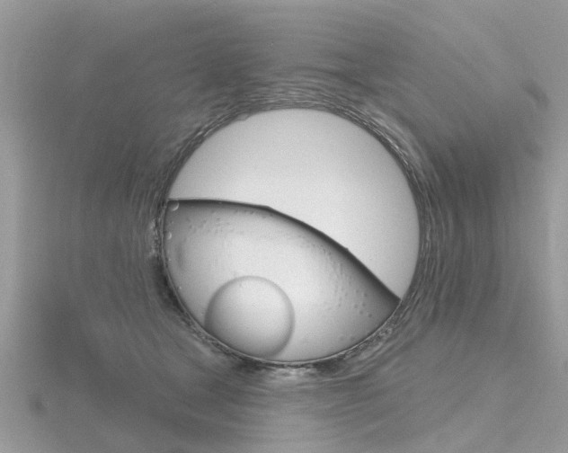 X0000116550465200912101006