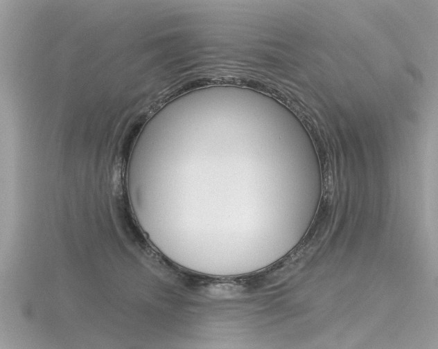 X0000116550468200912101006