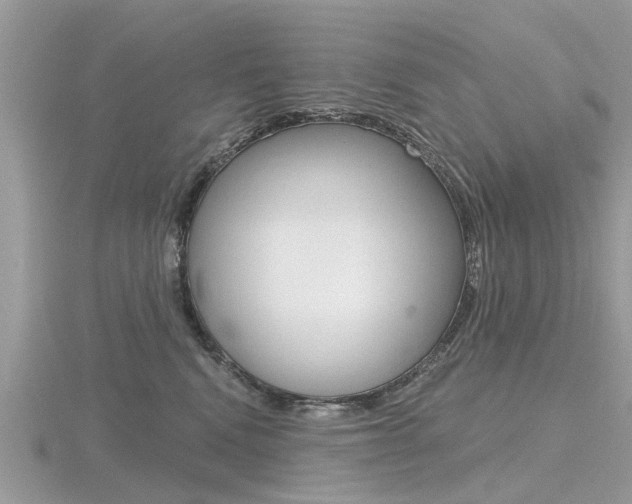 X0000116550472200912101007