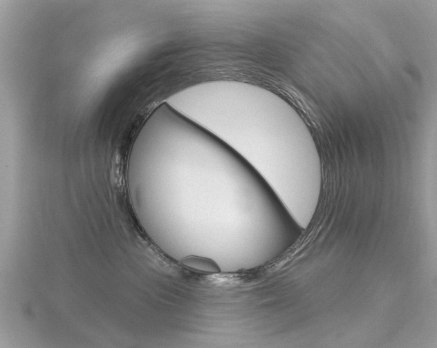 X0000116550477200912101007