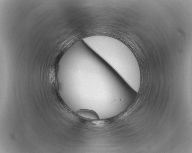 X0000116550478200912101007