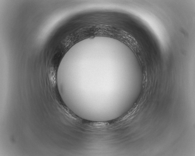X0000116550479200912101007