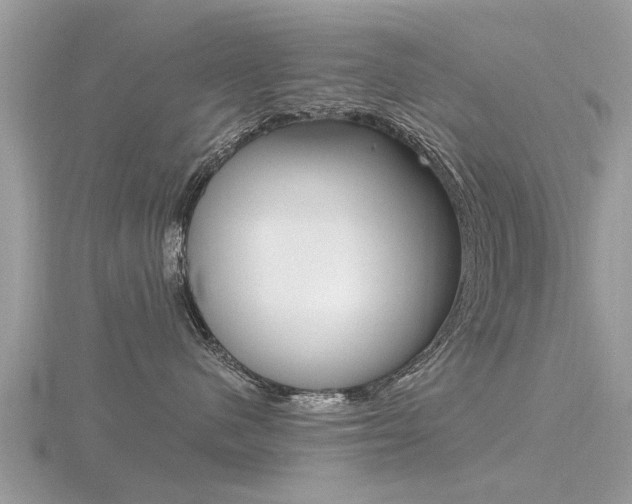 X0000116550480200912101007