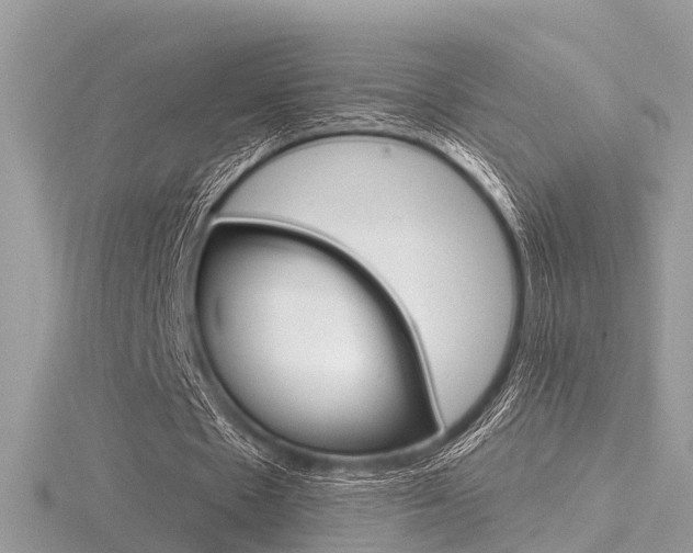 X0000116550481200912101006