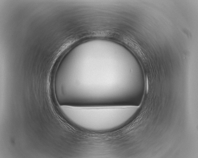 X0000116550483200912101006