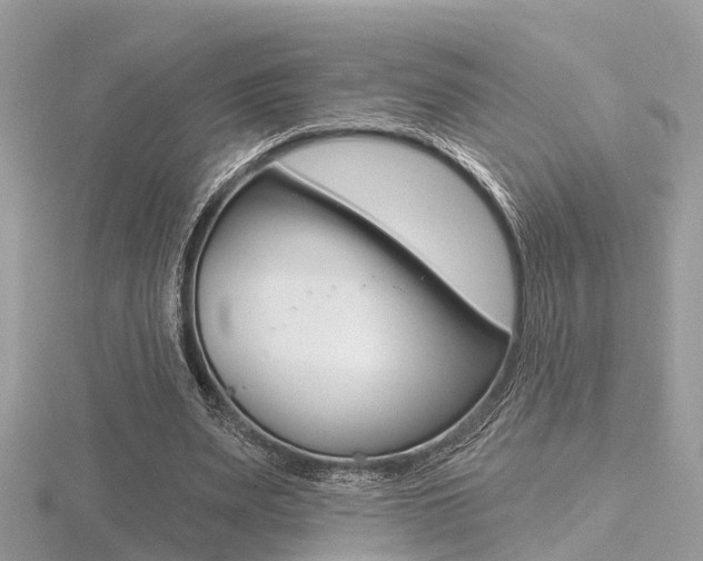 X0000116550487200912101006