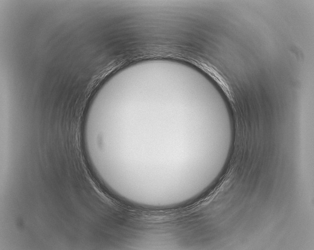 X0000116550489200912101006