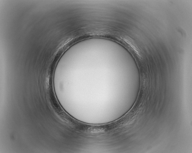 X0000116550491200912101006