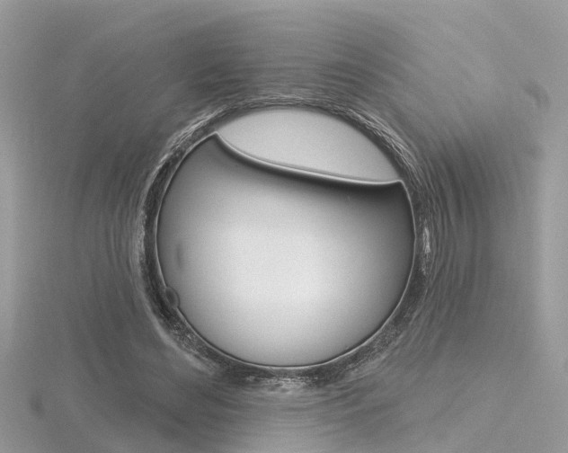 X0000116550492200912101006