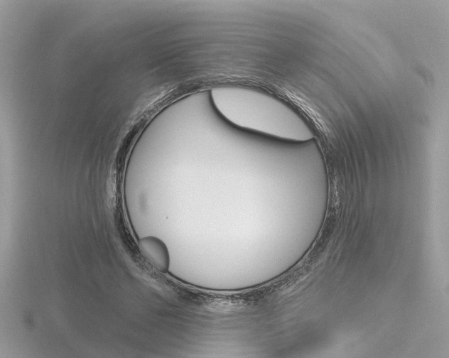X0000116550494200912101006
