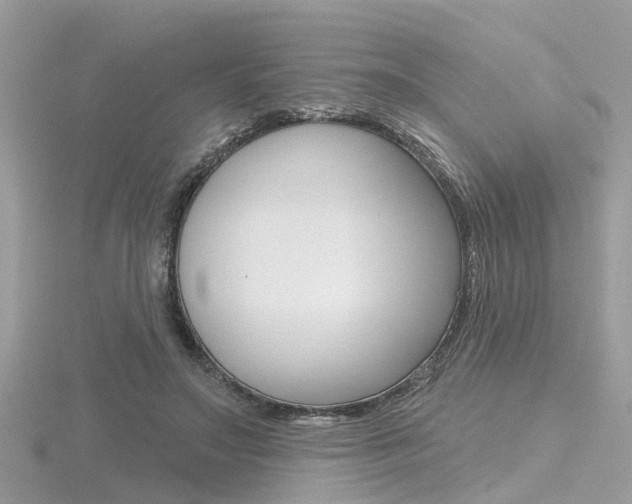 X0000116550499200912101006