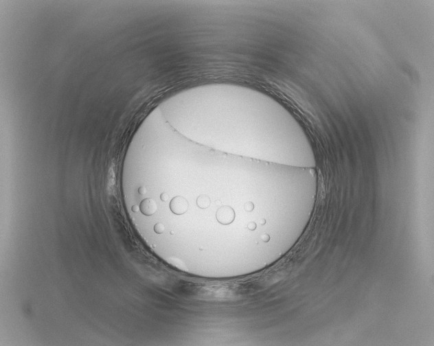 X0000116550502200912101006