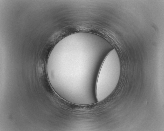 X0000116550503200912101006