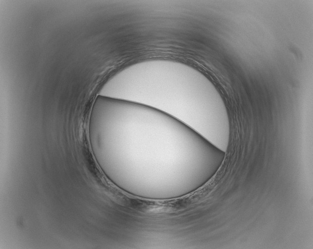 X0000116550504200912101006