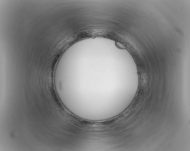 X0000116550506200912101006