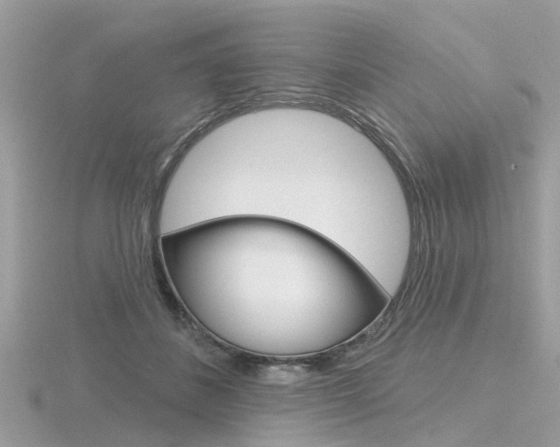 X0000116550508200912101006