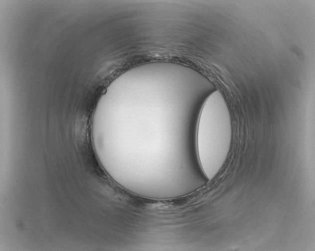 X0000116550511200912101006