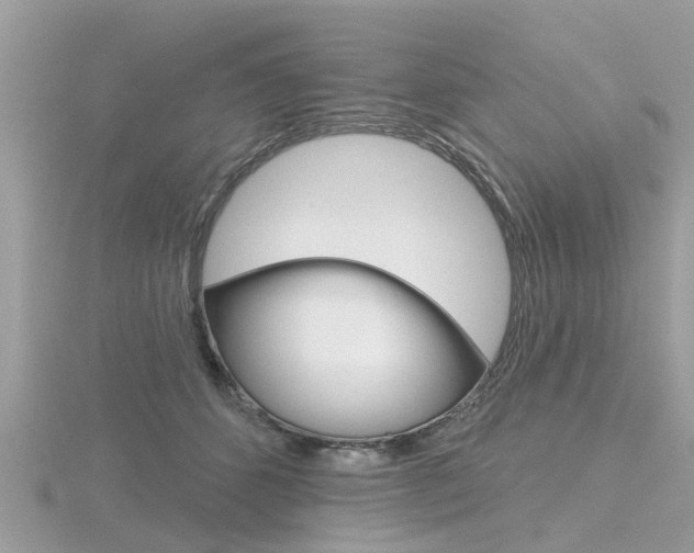 X0000116550512200912101006