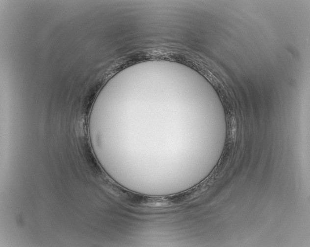 X0000116550514200912101006