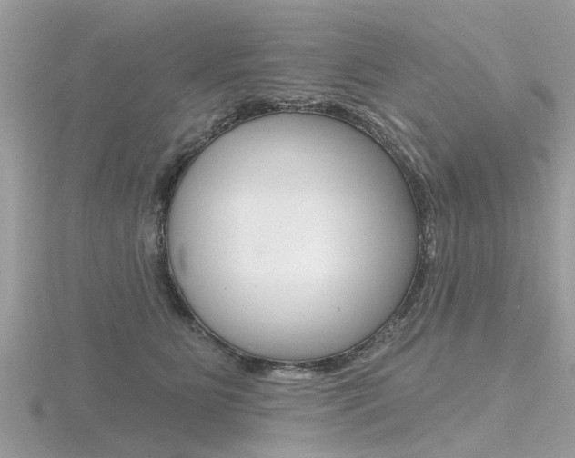 X0000116550515200912101006