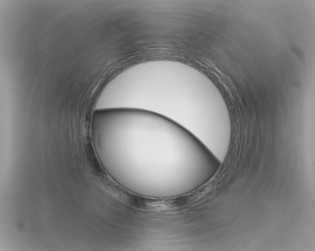 X0000116550516200912101006