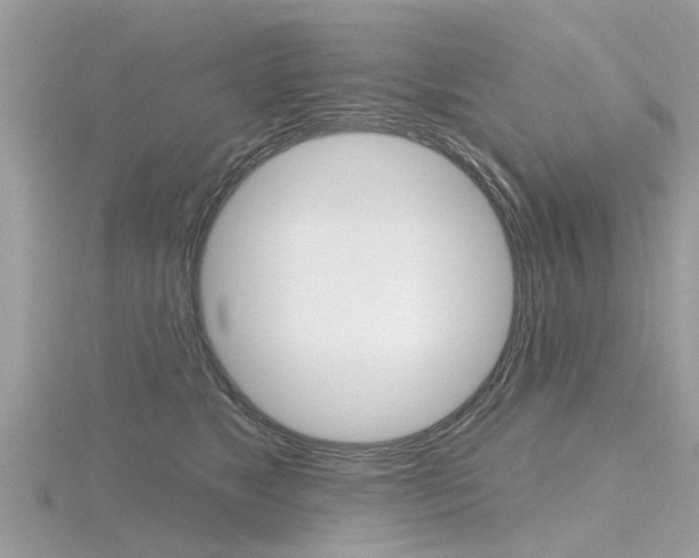 X0000116550517200912101006