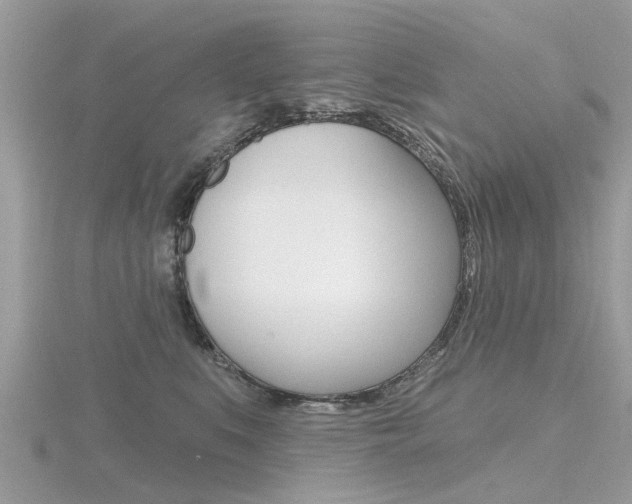 X0000116550519200912101006
