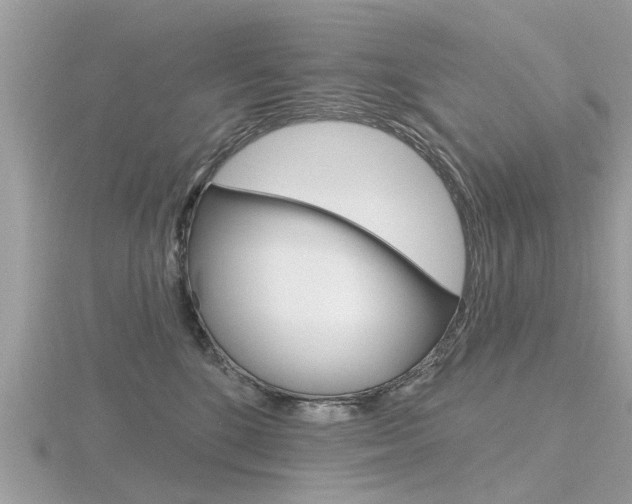 X0000116550520200912101006