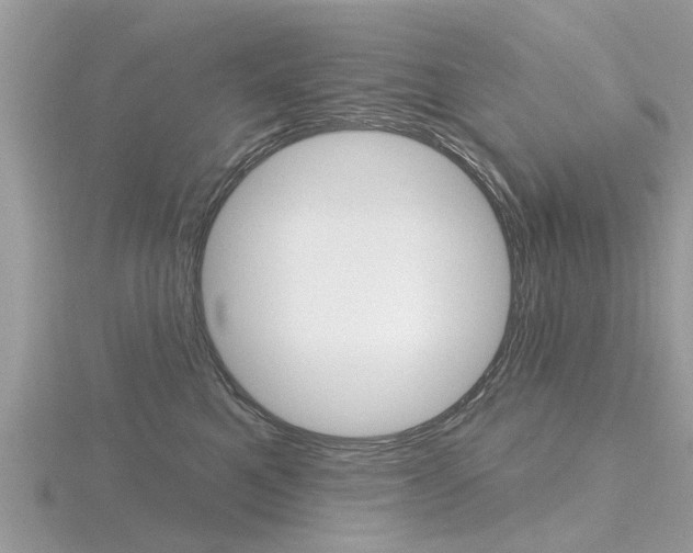X0000116550521200912101006