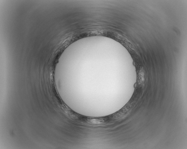 X0000116550522200912101006