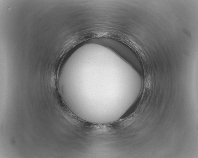 X0000116550524200912101005