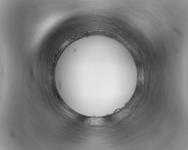 X0000116550526200912101005