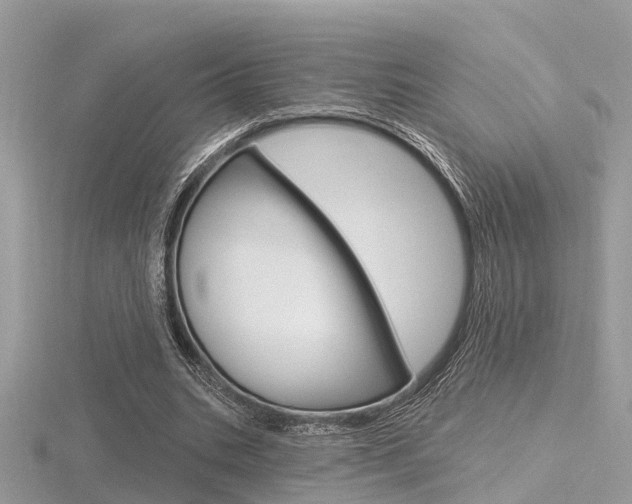 X0000116550535200912101005