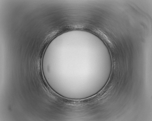X0000116550537200912101005
