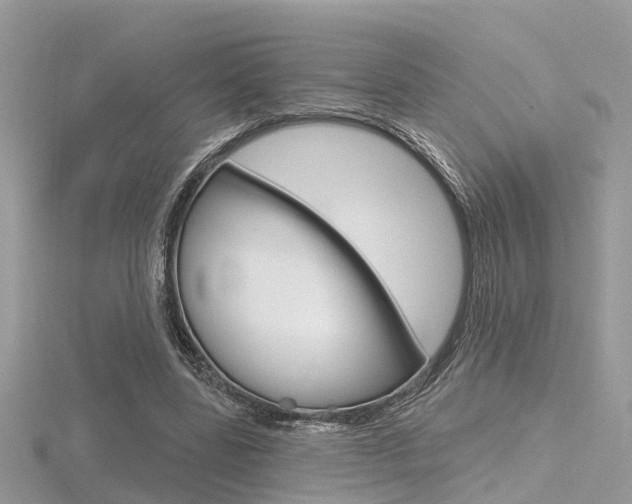 X0000116550539200912101005