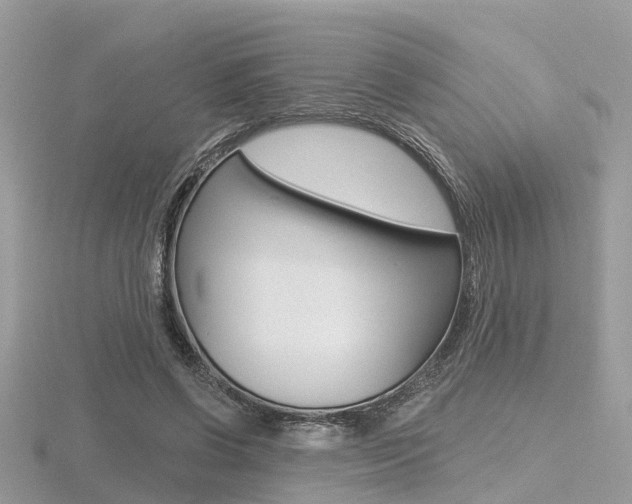 X0000116550542200912101005